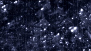 In your star – Makino Takashi